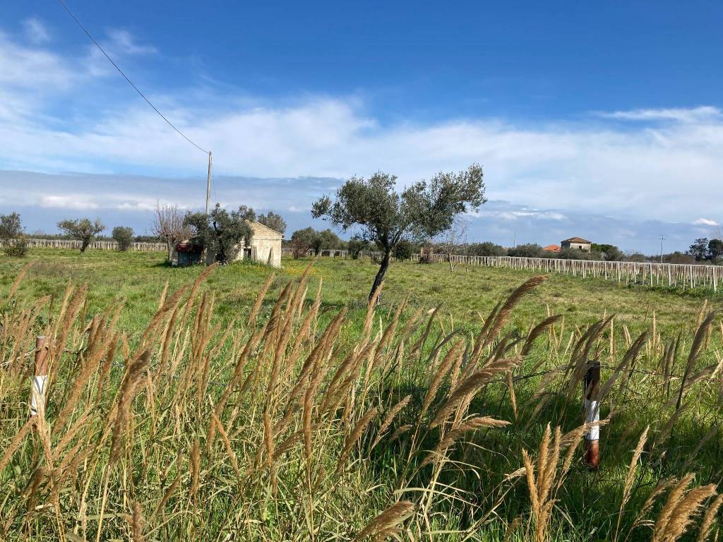 Terreno a Ortona in Strada Provinciale Villa-San Nicola - Foto 4