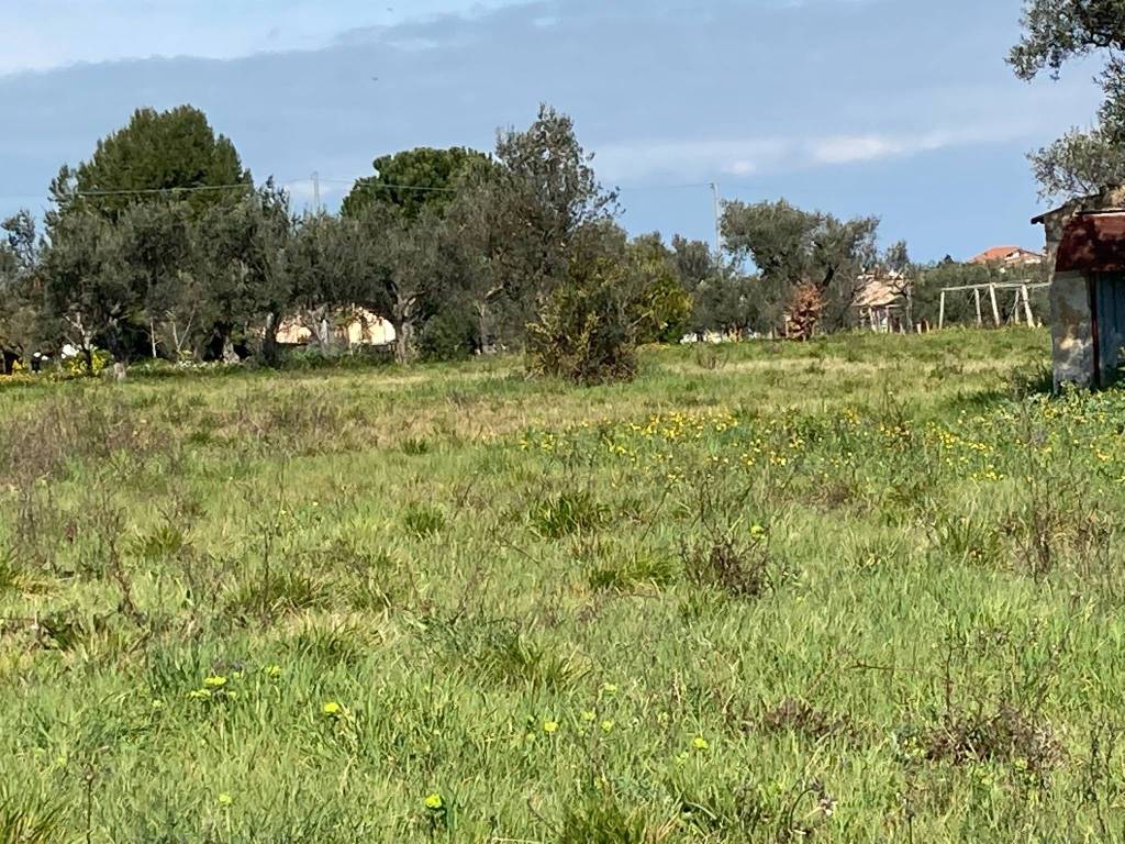 Terreno a Ortona in Strada Provinciale Villa-San Nicola - Foto 5