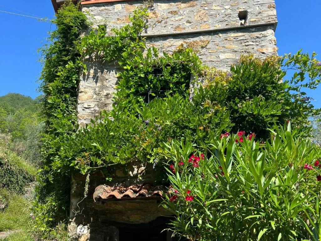 Rustico / casale a Testico in Piazza 4 Novembre - Foto 4