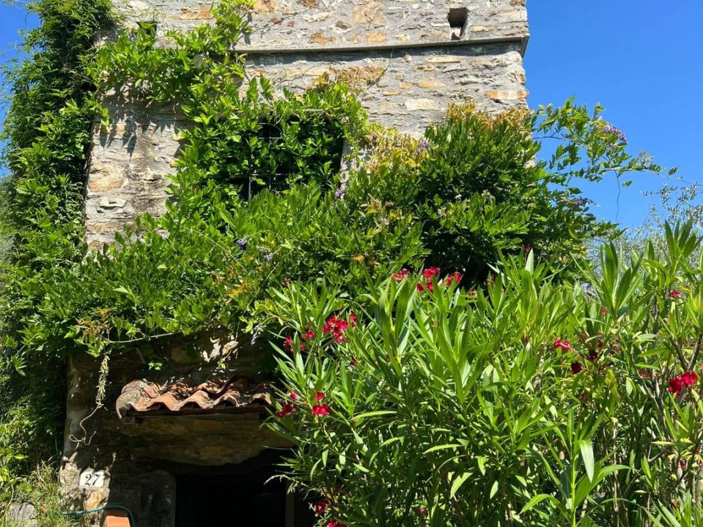 Rustico / casale a Testico in Piazza 4 Novembre - Foto 5