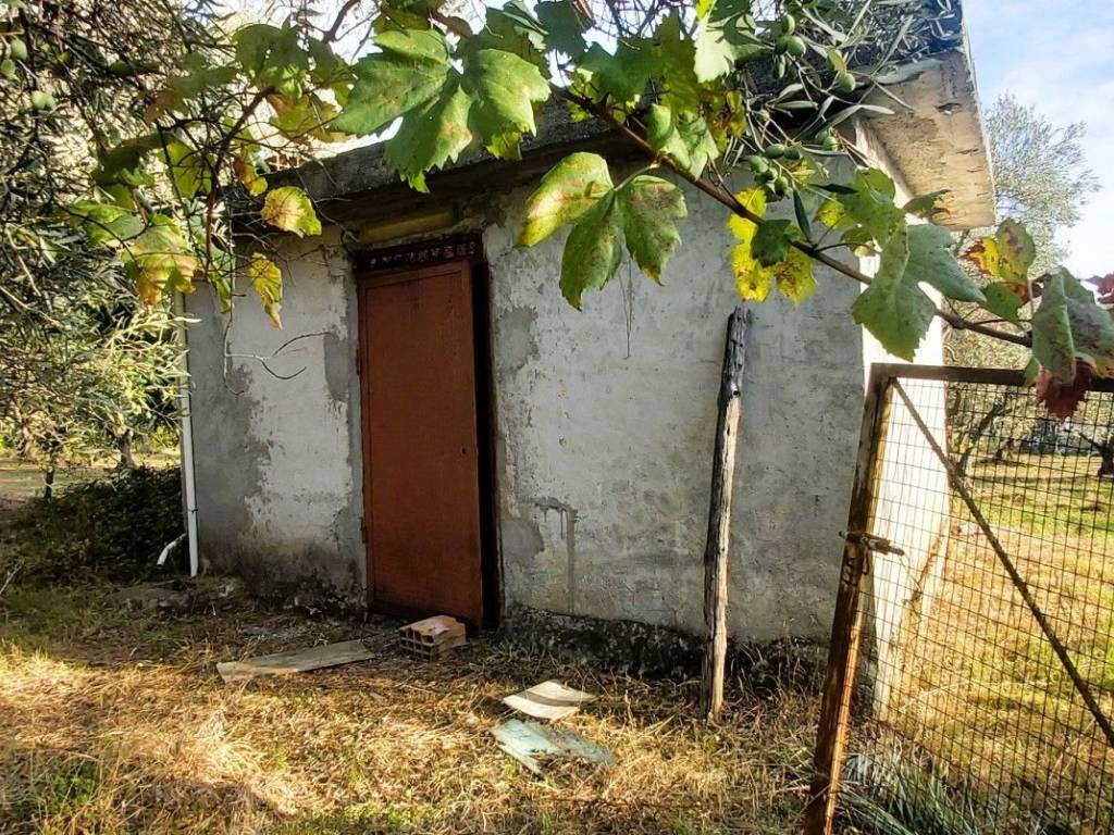 Terreno a Falerna in LocalitÃ curico, 1 - Foto 2