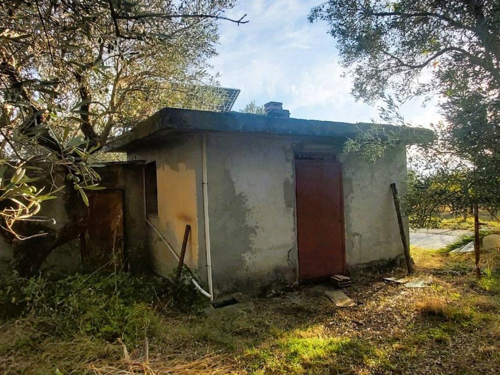 Terreno a Falerna in LocalitÃ curico, 1 - Foto 3