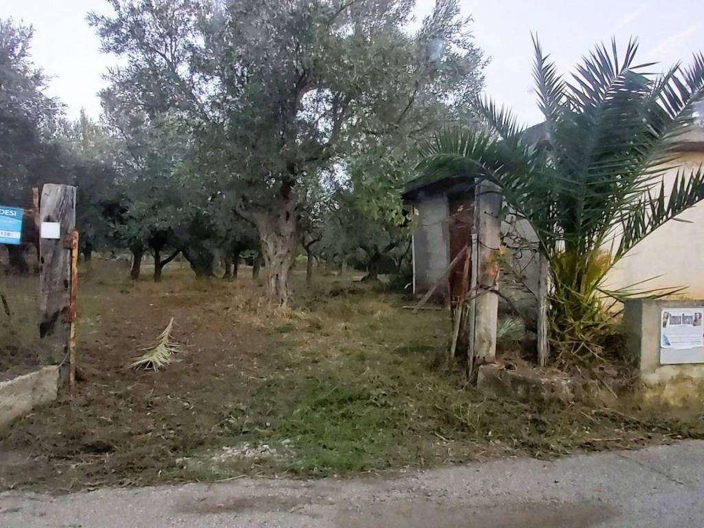 Terreno a Falerna in LocalitÃ curico, 1 - Foto 4