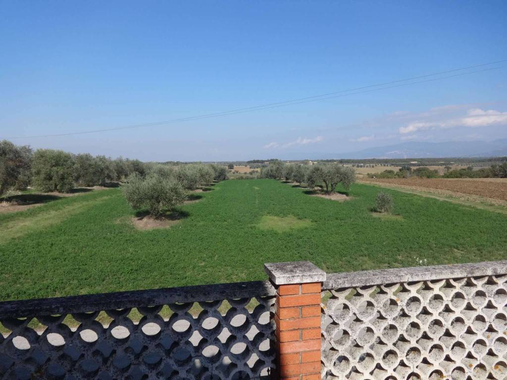 Villa a Castiglione del lago - Foto 4