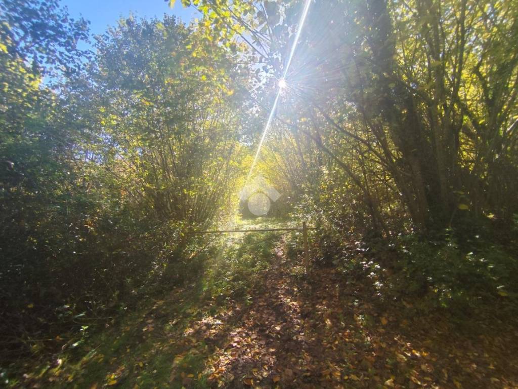 Rustico / casale a Subiaco in CONTRADA PONTICELLO - Foto 2