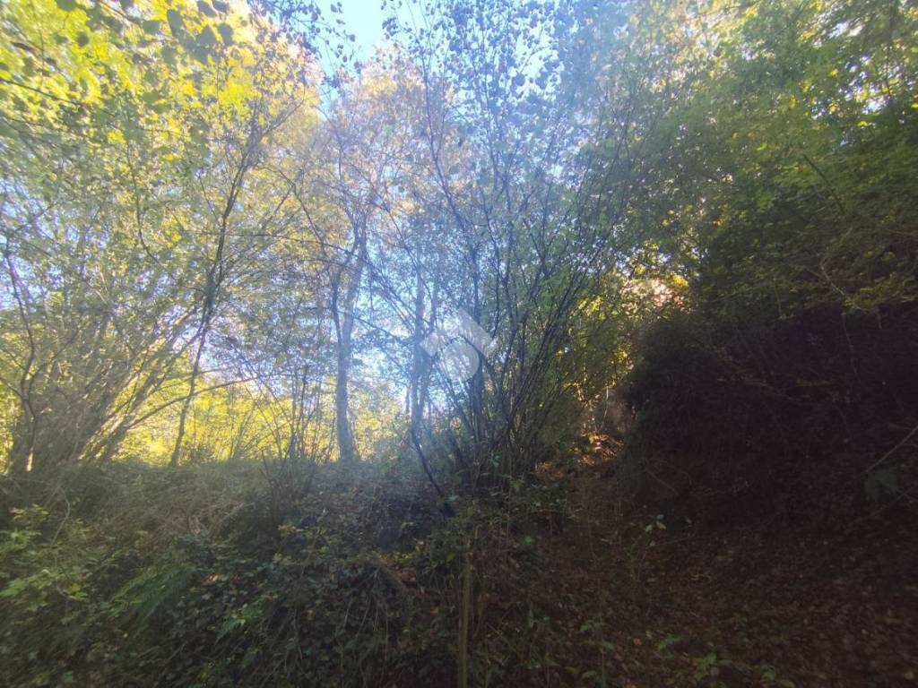 Rustico / casale a Subiaco in CONTRADA PONTICELLO - Foto 3