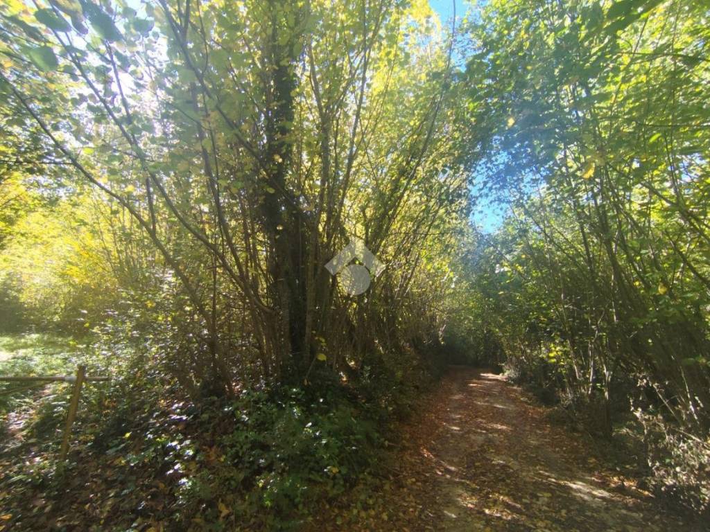 Rustico / casale a Subiaco in CONTRADA PONTICELLO - Foto 5