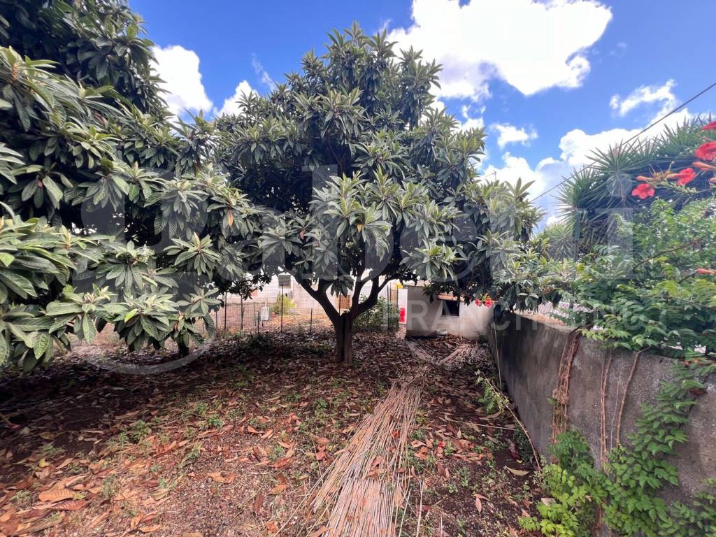 Appartamento a Santa marina salina in Via Roma, 52 - Foto 5