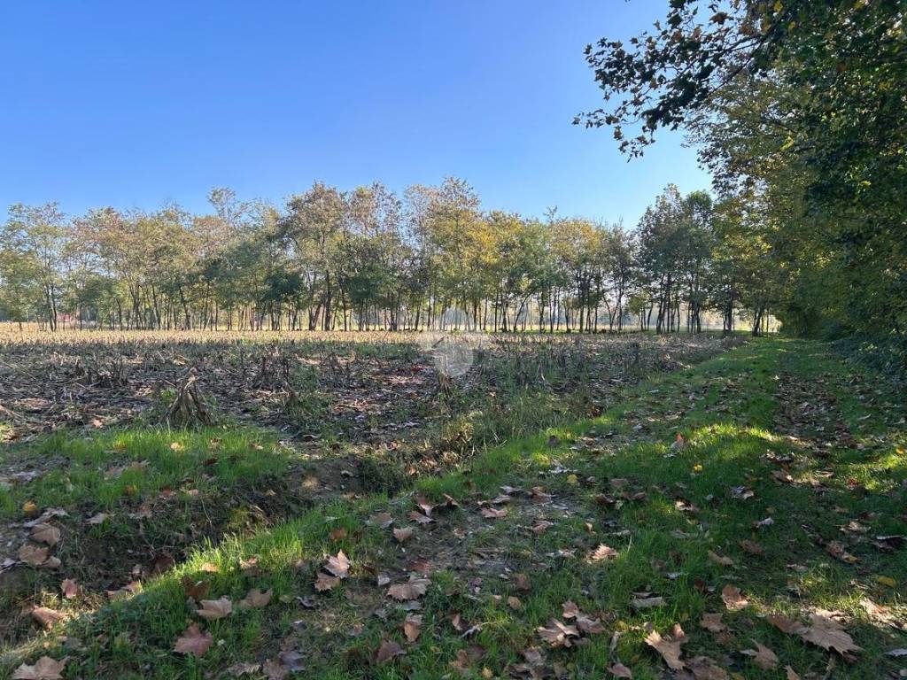 Terreno a Castelfranco veneto in Via Piccolo Cervan, 4 - Foto 2