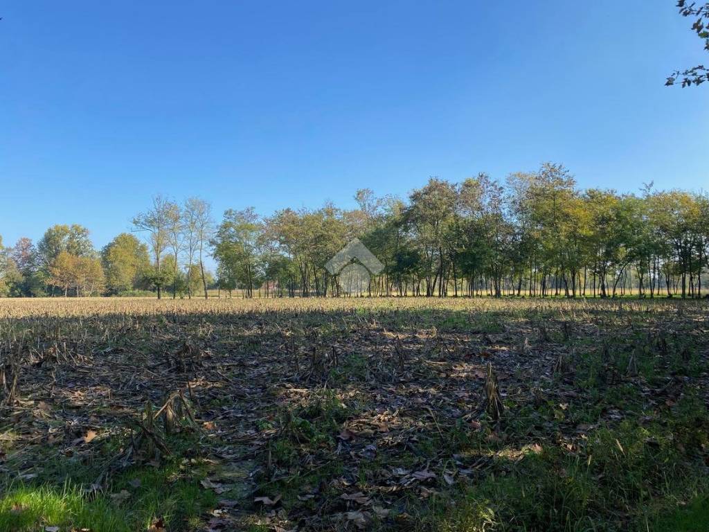 Terreno a Castelfranco veneto in Via Piccolo Cervan, 4 - Foto 3