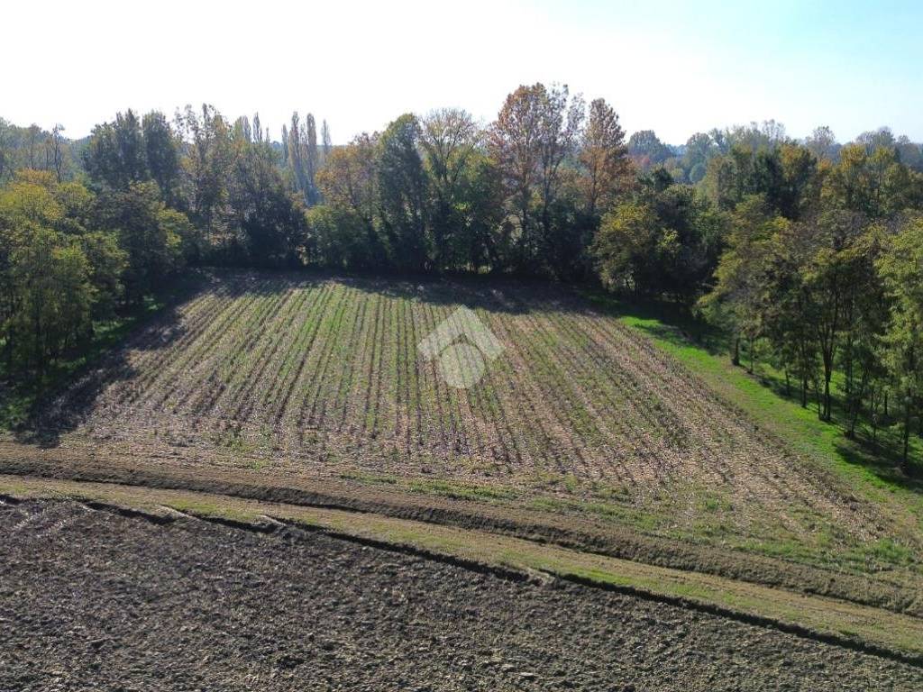 Terreno a Castelfranco veneto in Via Piccolo Cervan, 4 - Foto 4