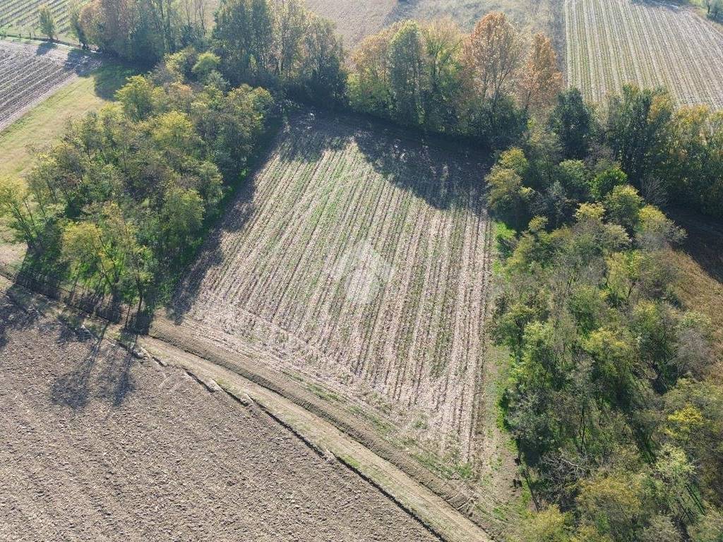 Terreno a Castelfranco veneto in Via Piccolo Cervan, 4 - Foto 5