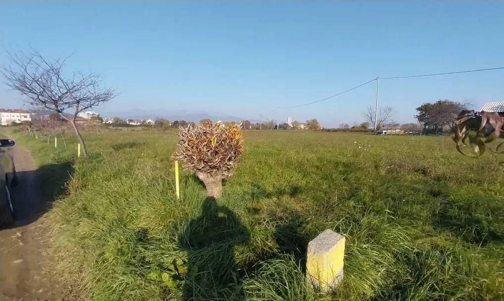 Terreno a Paderno d'adda - Foto 2
