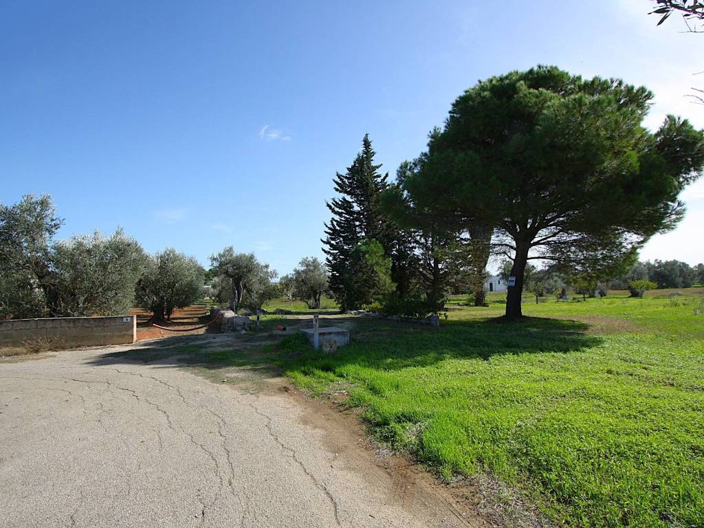 Terreno a Matino in Strada Vicinale Mimmo - Foto 2