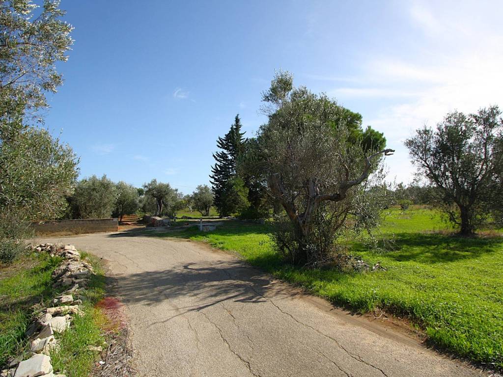 Terreno a Matino in Strada Vicinale Mimmo - Foto 3