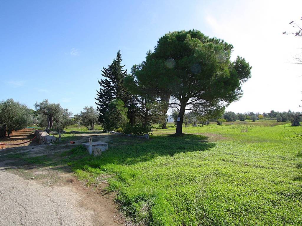 Terreno a Matino in Strada Vicinale Mimmo - Foto 4