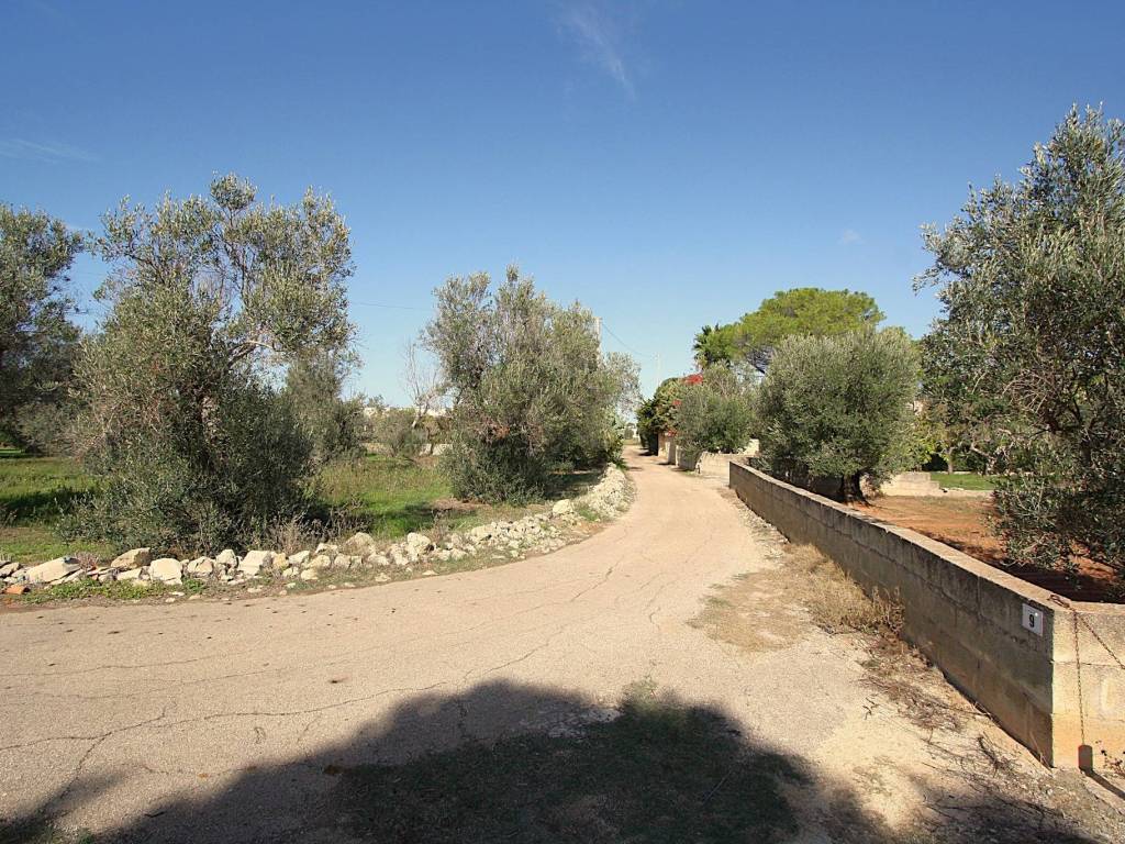 Terreno a Matino in Strada Vicinale Mimmo - Foto 5