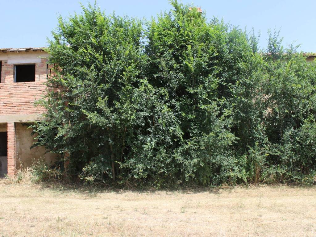 Rustico / casale a Marsciano in Strada Vicinale delle Masse - Foto 2