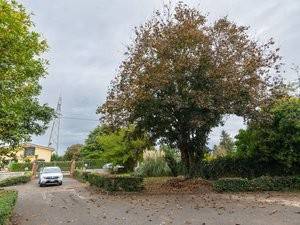 Immobile a Labico in Via Agrolatino, 9 - Foto 4