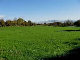 Terreno a Labico in colle spina - Foto 2