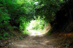 Terreno a Labico in colle spina - Foto 4