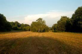 Terreno a Labico in colle spina - Foto 5