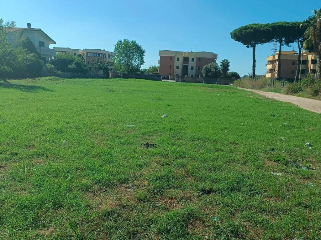 Terreno a Nettuno - Foto 3