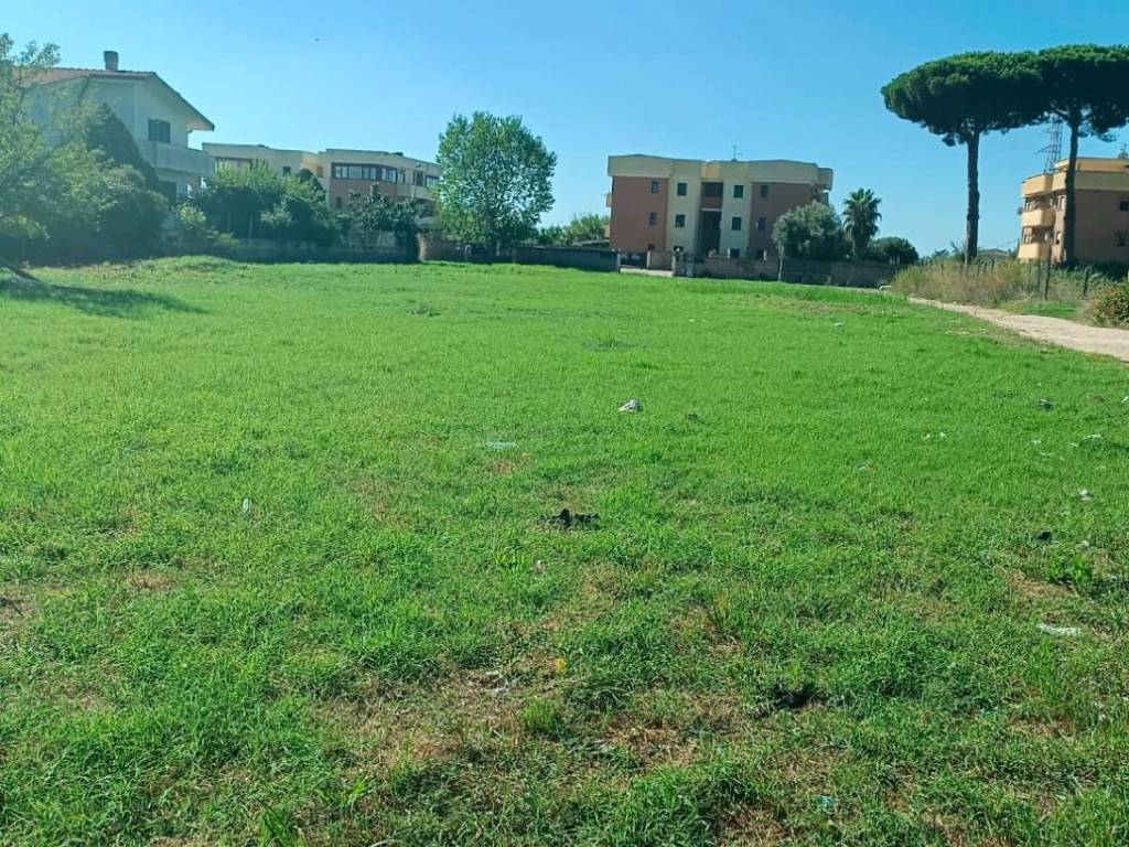 Terreno a Nettuno - Foto 4