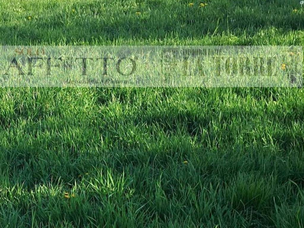 Terreno a Alessandria in Via Cattaneo - Foto 2