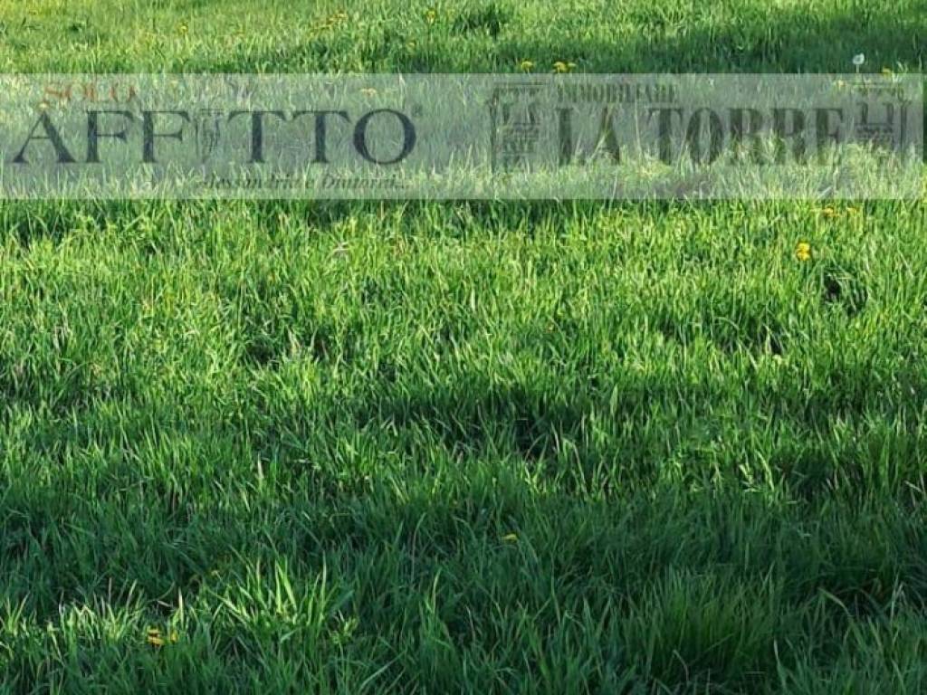 Terreno a Alessandria in Via Cattaneo - Foto 3
