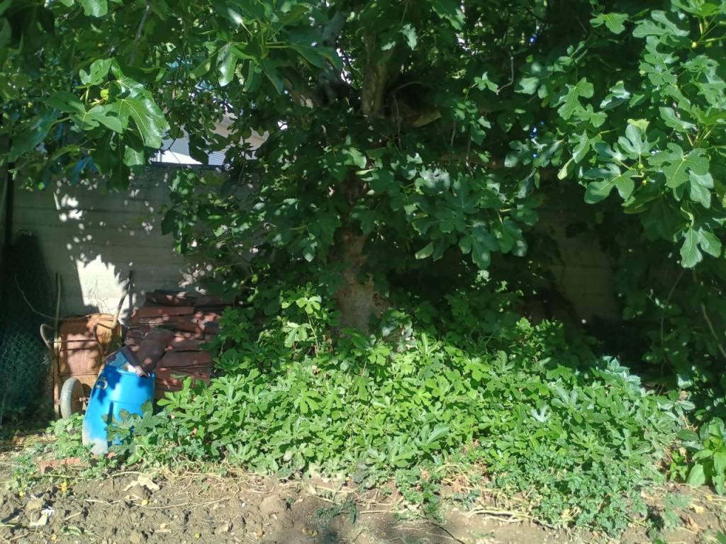 Terreno a Chieri in STRADA CAMPO ARCHERO 6 - Foto 2