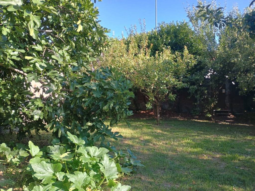 Terreno a Chieri in STRADA CAMPO ARCHERO 6 - Foto 3