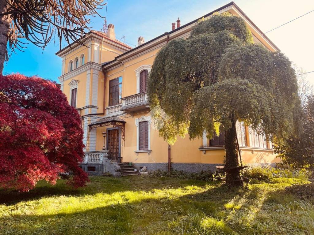 immagine di copertina