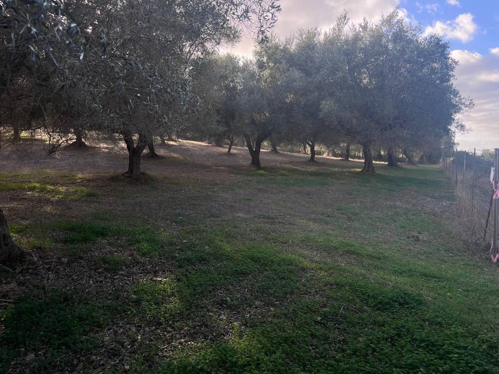 Terreno a Dolianova - Foto 2