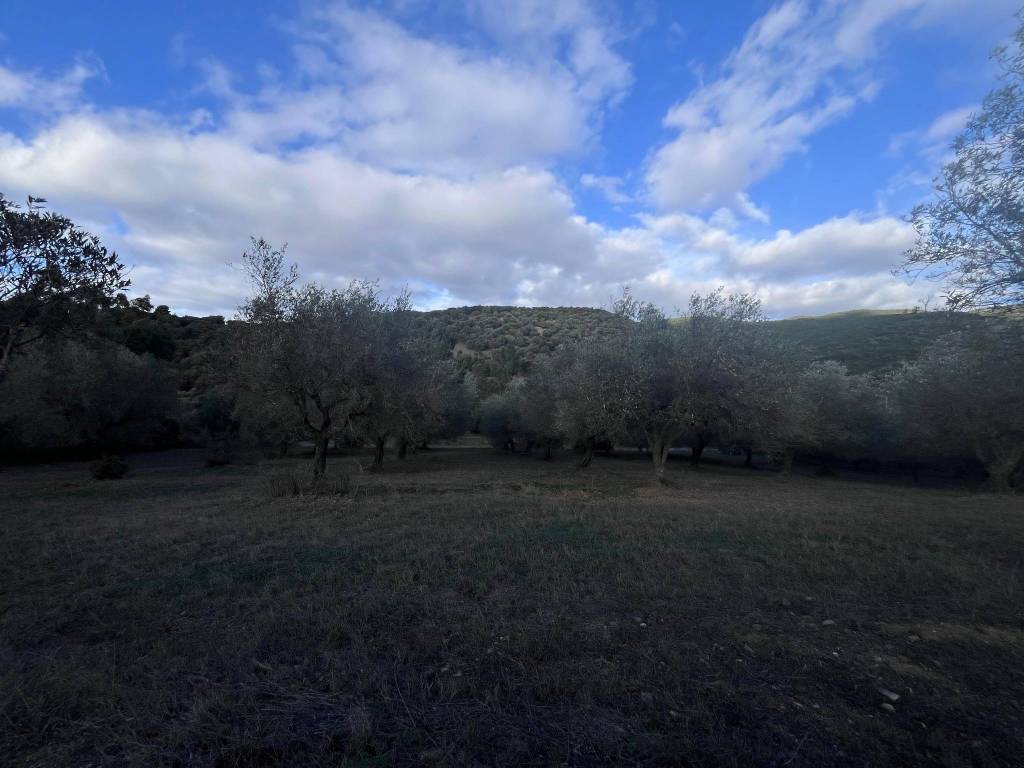 Terreno a Dolianova - Foto 3