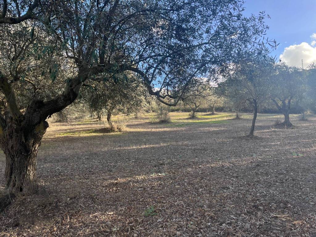 Terreno a Dolianova - Foto 4