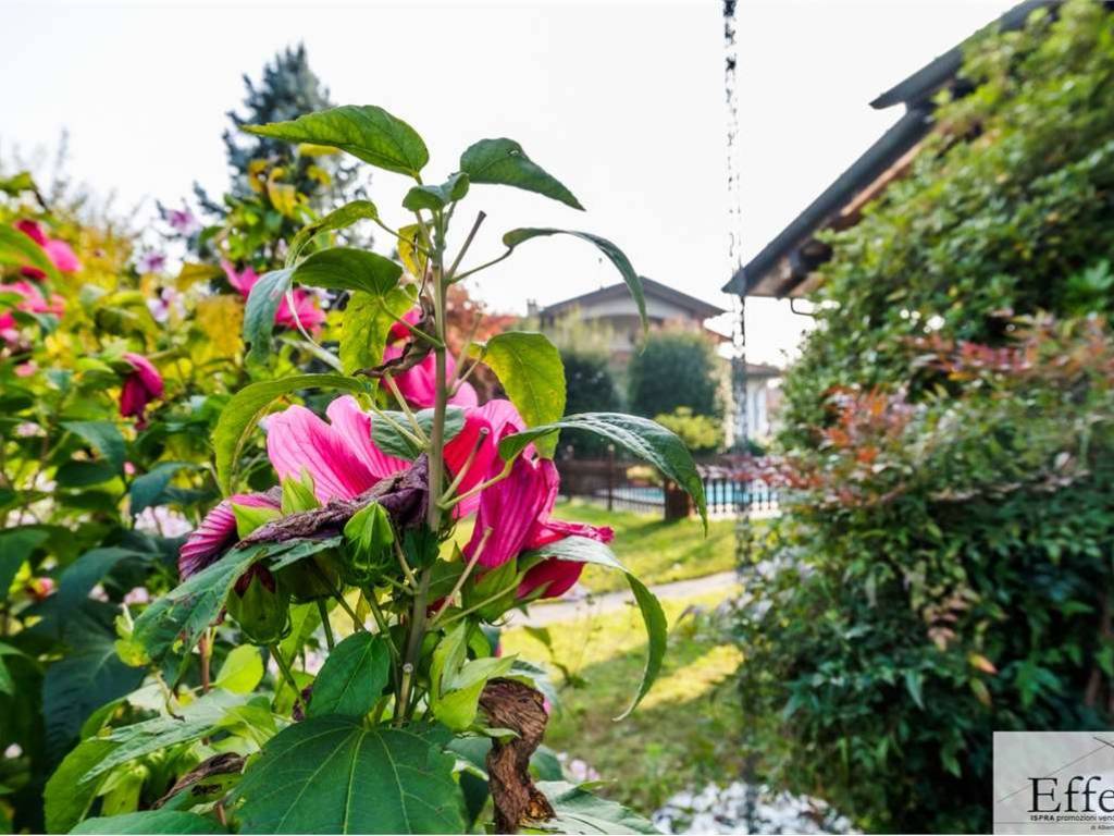 Villa a Ispra in Via Volta, 486 - Foto 4