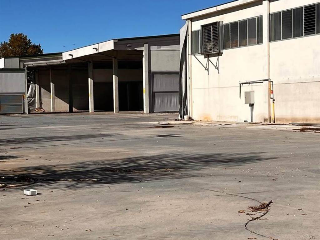 Immobile a Pegognaga - Foto 4