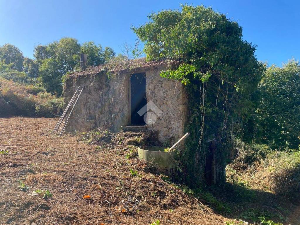 Rustico / casale a Palestrina in Via San Francesco Tende - Foto 2