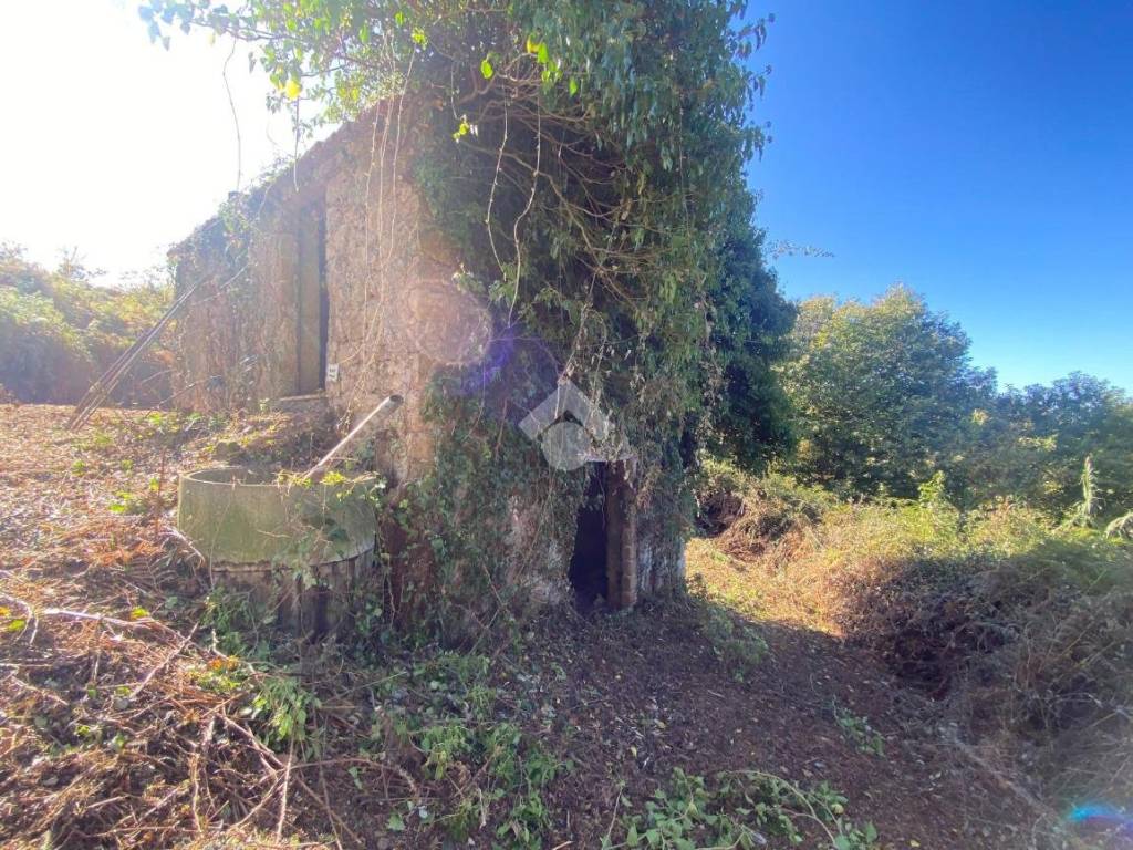 Rustico / casale a Palestrina in Via San Francesco Tende - Foto 3