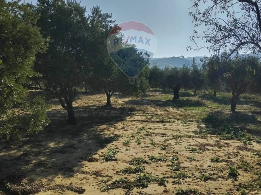 Terreno a Piazza armerina in contrada serra d'api - Foto 3