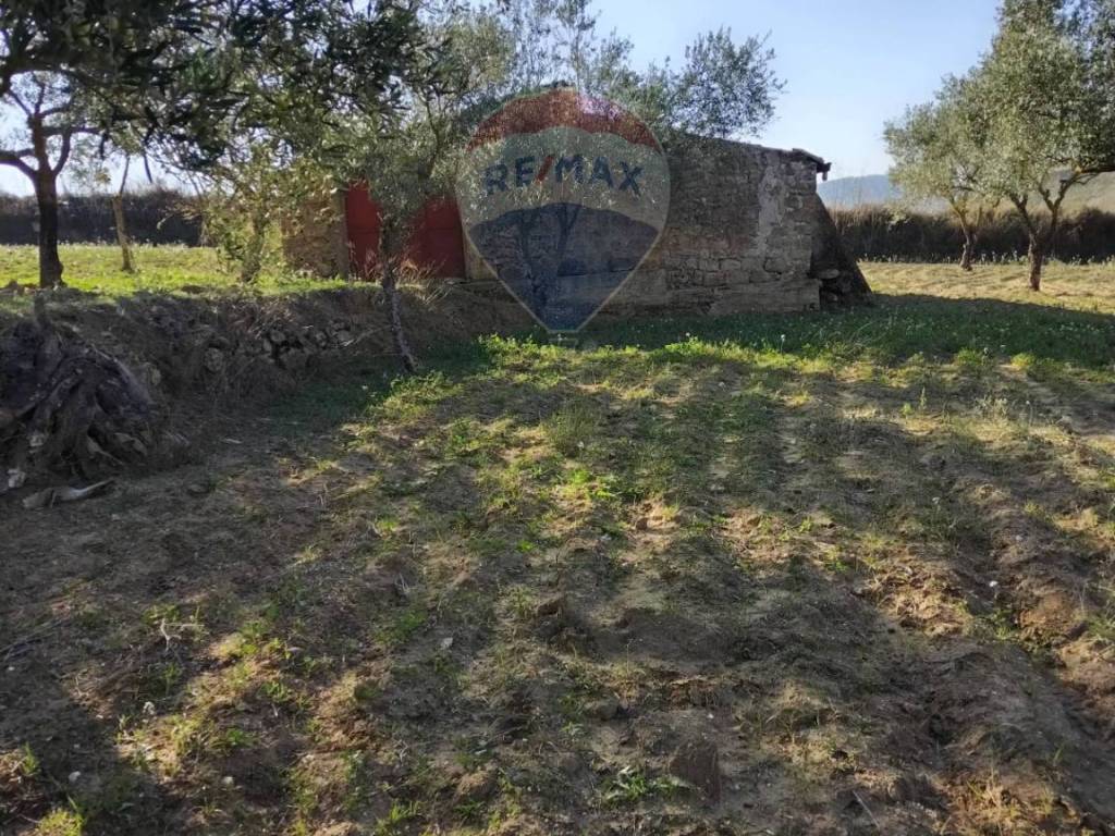 Terreno a Piazza armerina in contrada serra d'api - Foto 5