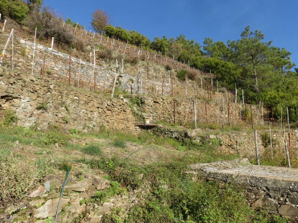 Rustico / casale a Riomaggiore in SP32 - Foto 2