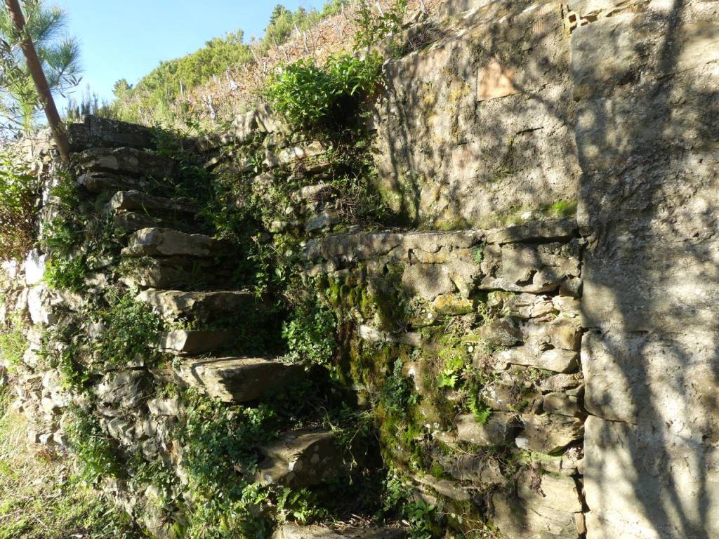 Rustico / casale a Riomaggiore in SP32 - Foto 4