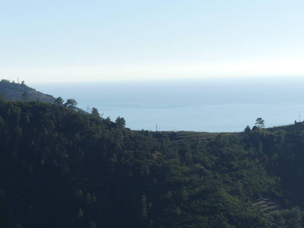 Rustico / casale a Riomaggiore in SP32 - Foto 5