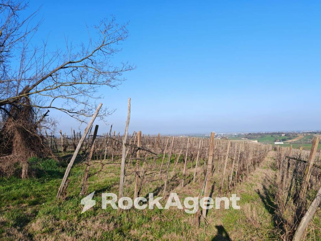 Terreno a San damiano al colle in frazione camporello 5 - Foto 3