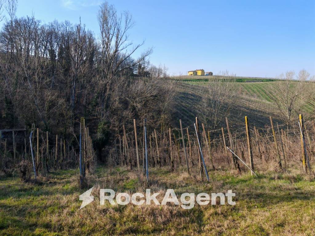 Terreno a San damiano al colle in frazione camporello 5 - Foto 5
