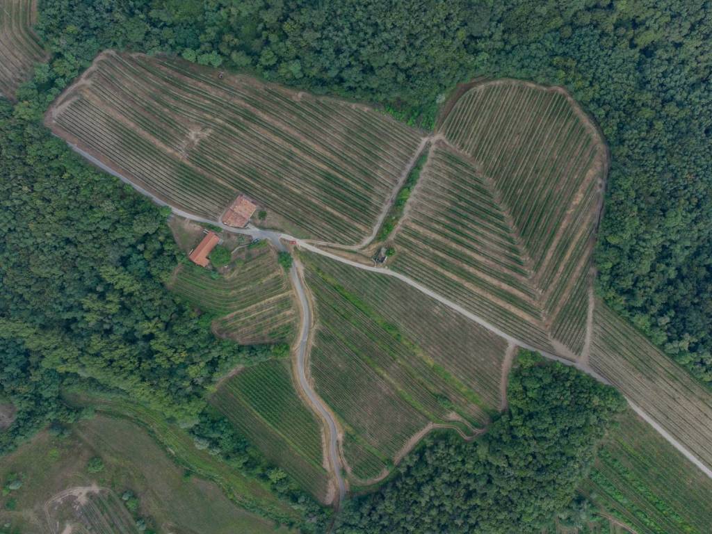 Villa a Dolegna del collio in Località Quarnizza, 1 - Foto 4