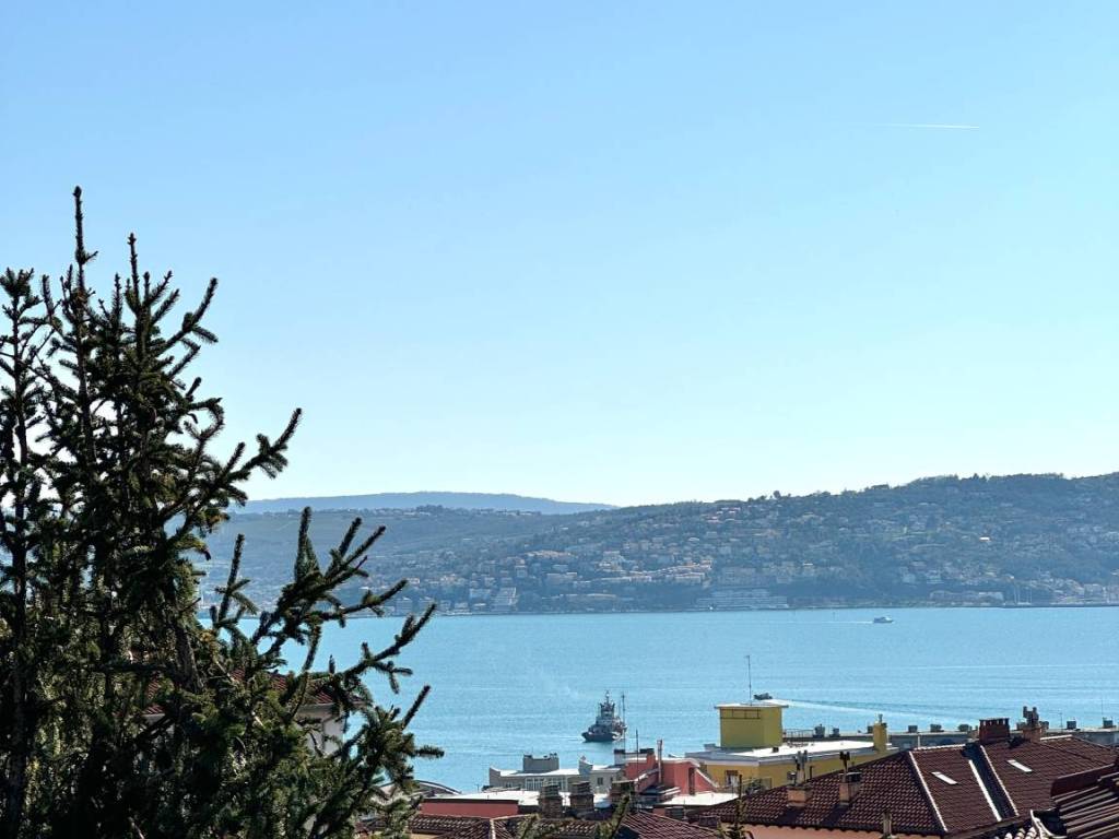 Appartamento a Trieste in Via Pasquale Besenghi, 10 - Foto 2