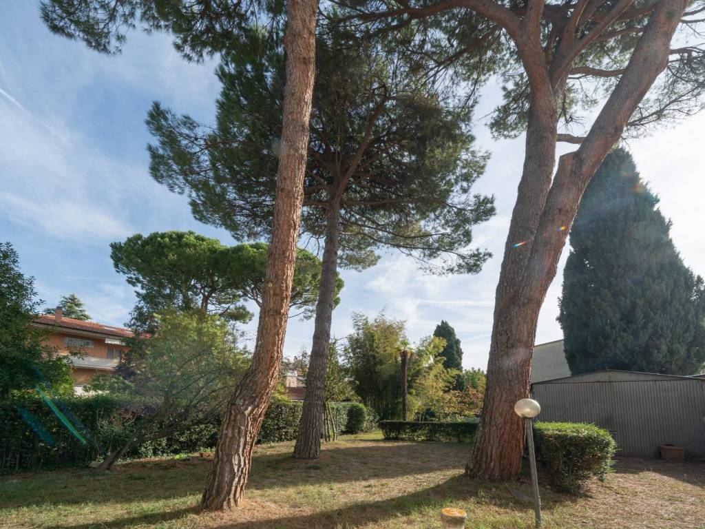 Appartamento a Jesi - Foto 2